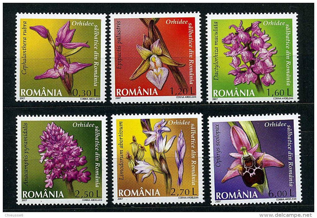 Roumanie ** N° 5194 à 5199 - Fleurs : Orchidées - Ongebruikt