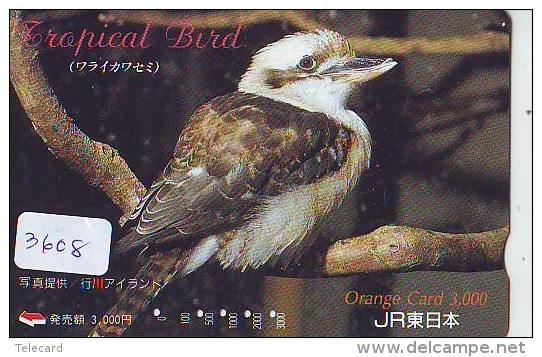Carte Prépayée Japon* OISEAU (3608)    BIRD * JAPAN Prepaidcard * Vogel KARTE - Pájaros Cantores (Passeri)