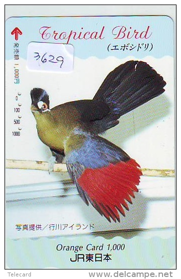 Carte Prépayée Japon* OISEAU (3629)   BIRD * JAPAN Prepaidcard * Vogel KARTE - Other & Unclassified