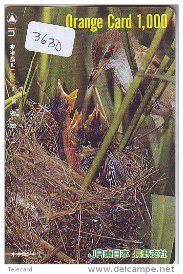 Carte Prépayée Japon* OISEAU (3630)   BIRD * JAPAN Prepaidcard * Vogel KARTE - Autres & Non Classés