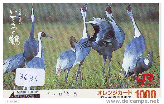 Telecarte Japon OISEAU (3636)  GRUE - Couple En Parade Sur HOKKAIDO * CRANE BIRD Japan Phonecard * KRANICH Vogel TK - Gallinacés & Faisans