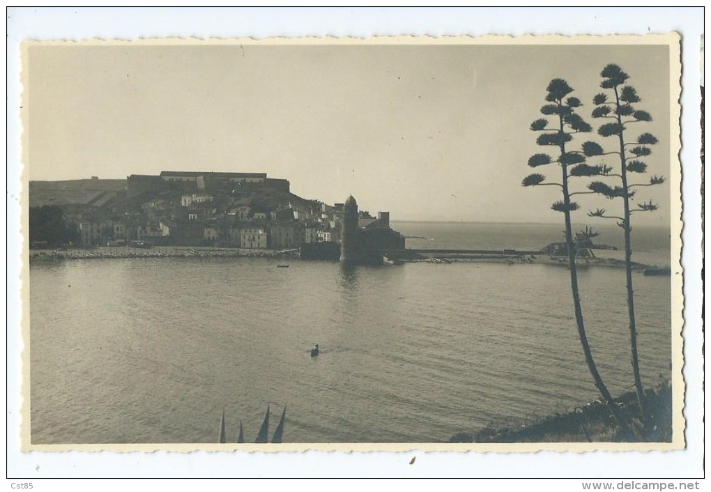 Carte Ou Photo - Collioure Vue Sur Le Port 66 - A Confirmer - Collioure