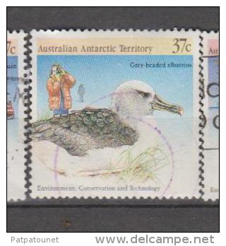 Australie (Antarctique) YV 81 O 1968 Albatros - Albatros & Stormvogels