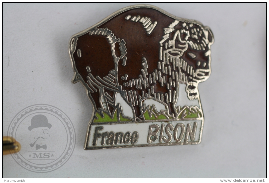 France Bison - Pin Badge #PLS - Animales