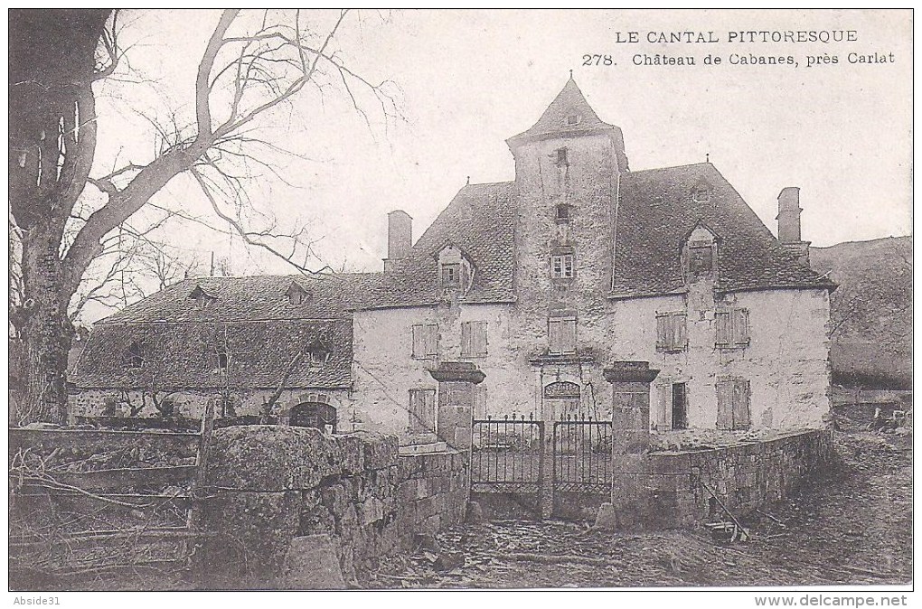 Château De Cabanes , Près Carlat - Carlat