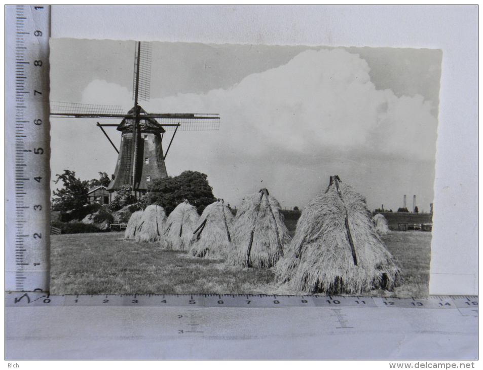 CPSM Aalsmeer Watermolen - Pays Bas - Moulin - Aalsmeer