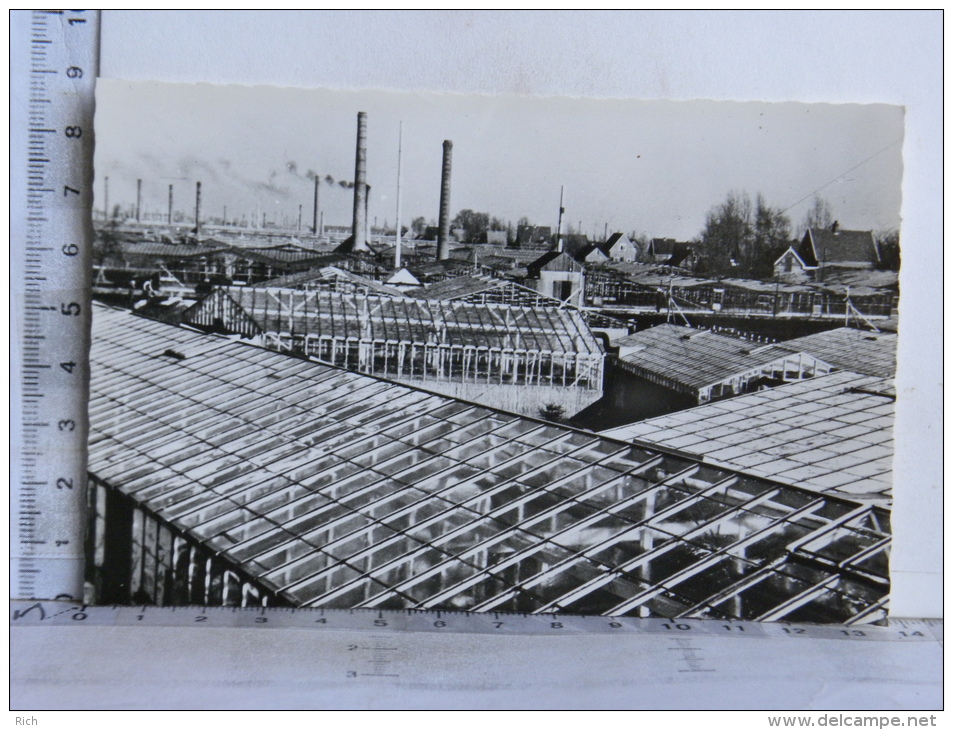 CPSM Een Glaszee, Zover Het Oog Reikt. Bloemencentrum Aalsmeer - Pays Bas - Aalsmeer