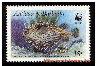 50% DISCOUNT WWF - ANTIGUA & BARBUDA - 1987 - Stamp - Official Stamp Set - - Autres & Non Classés