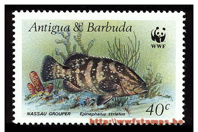 50% DISCOUNT WWF - ANTIGUA & BARBUDA - 1987 - Stamp - Official Stamp Set - - Otros & Sin Clasificación