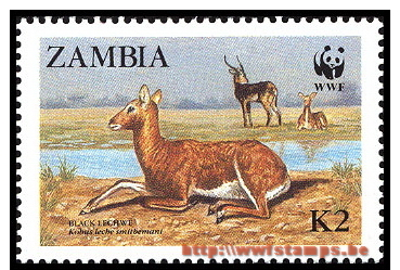 50% DISCOUNT WWF - ZAMBIA - 1987 - Stamp - Official Stamp Set - - Other & Unclassified