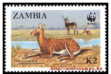 50% DISCOUNT WWF - ZAMBIA - 1987 - Stamp - Official Stamp Set - - Sonstige & Ohne Zuordnung