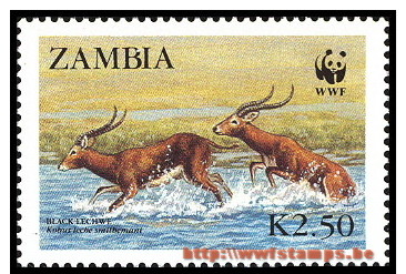 50% DISCOUNT WWF - ZAMBIA - 1987 - Stamp - Official Stamp Set - - Sonstige & Ohne Zuordnung