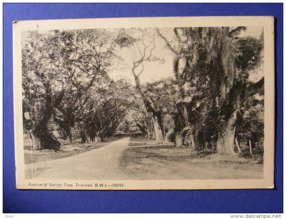 CPA Trinidad And Tobago - Avenue Of Saman Tree - Trinidad, B.W.I. - 20797 - Trinidad