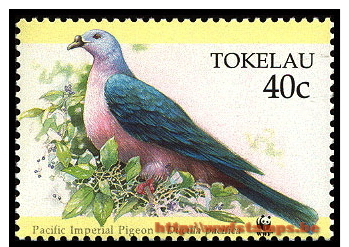 50% DISCOUNT WWF - TOKELAU - 1995 - Stamp - Official Stamp Set - - Other & Unclassified