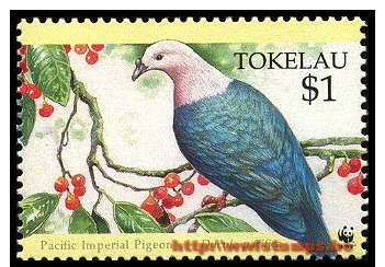 50% DISCOUNT WWF - TOKELAU - 1995 - Stamp - Official Stamp Set - - Other & Unclassified