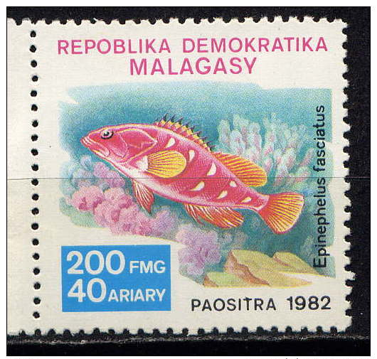 MADAGASCAR - N° 682** - EPINEPHELUS FASCIATUS - Madagascar (1960-...)