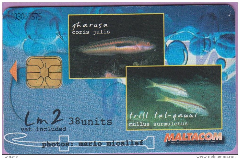 Malte  202  :-.   Poissons  °  Gharusa -- Xirgien   °   Lm2 - 38 Units °  **   T B E - Malte