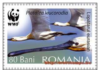 "50% DISCOUNT WWF - ROMANIA - 2006 - Stamp - Official Stamp Set - Out Of The Sheetlets" - Other & Unclassified