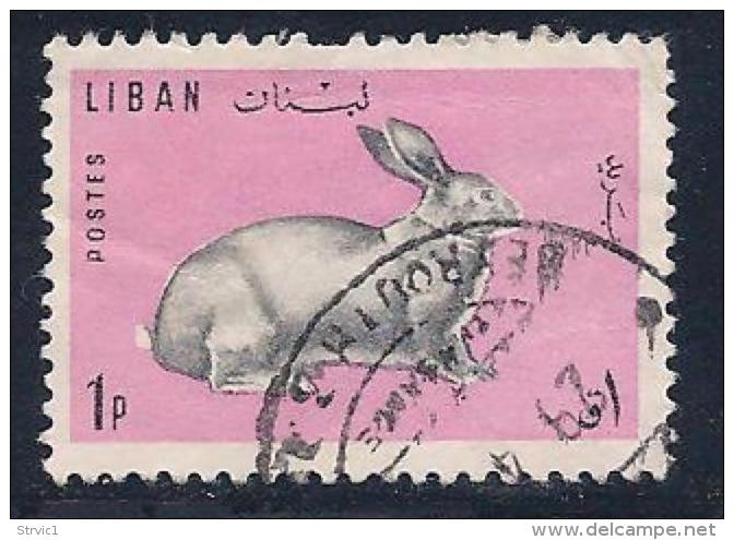 Lebanon, Scott # 441 Used Rabbit, 1965 - Lebanon