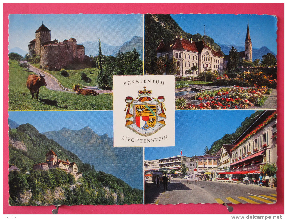 Carte Pas Très Courante - Liechtenstein - Vaduz - Landesfürstliche Residenz - Scans Recto-verso - Liechtenstein