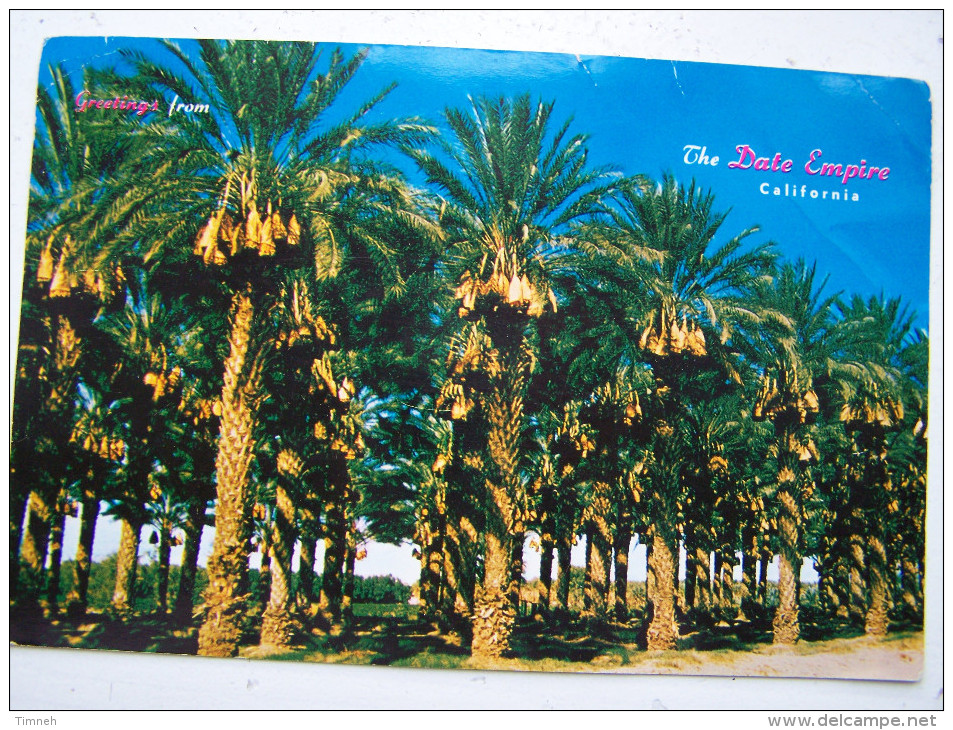 CPM. Grand Format  1960 GREETINGS FROM THE DATE EMPIRE CALIFORNIA  23cmx15cm DATE GROVES WITH FRUIT COACHELLA VALLEY - Los Angeles