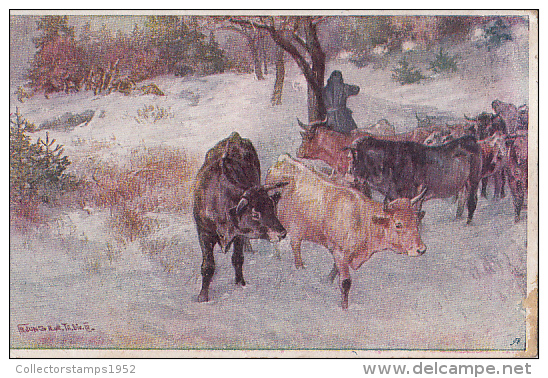 3474- R. JUNG-  COW HERD IN WINTER LANDSCAPE, POSTCARD - Jung