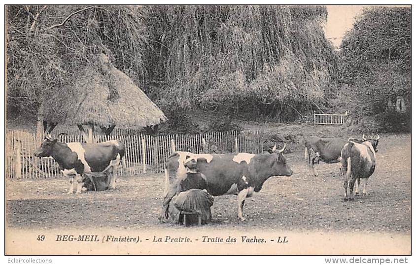 Beg-Meil    29      La Traite Des Vaches - Beg Meil