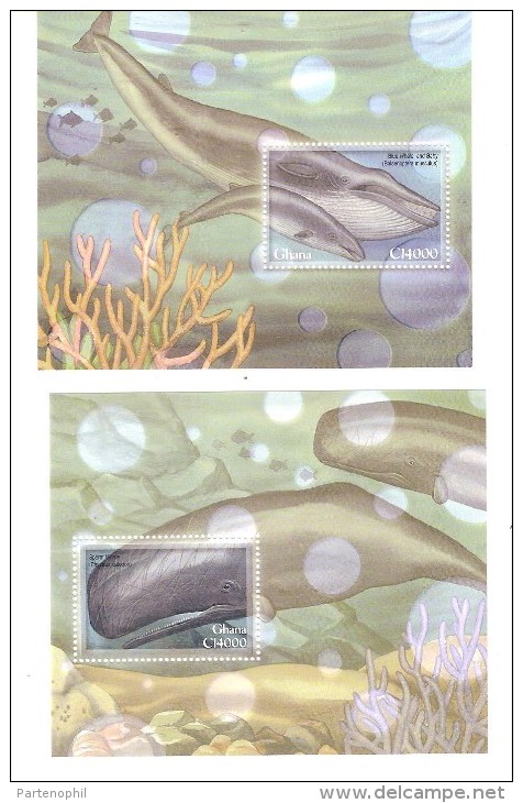 GHANA FOGLIETTI NUOVI BALENE WHALE 2 SHEETS MNH - Baleines