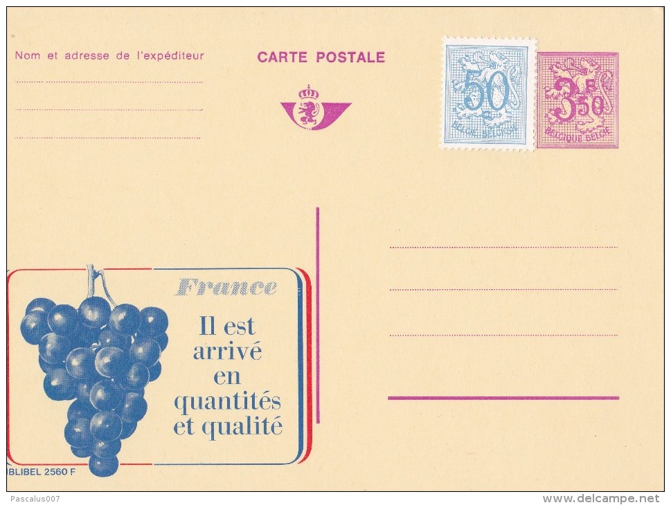 A27 - 22560 - Entier Postal - Carte Publibel N° 2560 F - France Raisin Vin - Voir Photo Pour Détails - Publibels