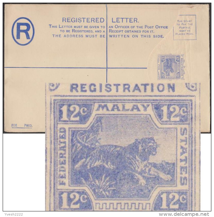 Etats Malais 1922, Enveloppe Pour Recommandé. Timbre à 12 C, Correspondant à La Taxe De Recommandé. Tigre - Big Cats (cats Of Prey)