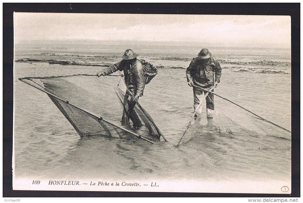 HONFLEUR . La Pêche à La Crevette . - Honfleur