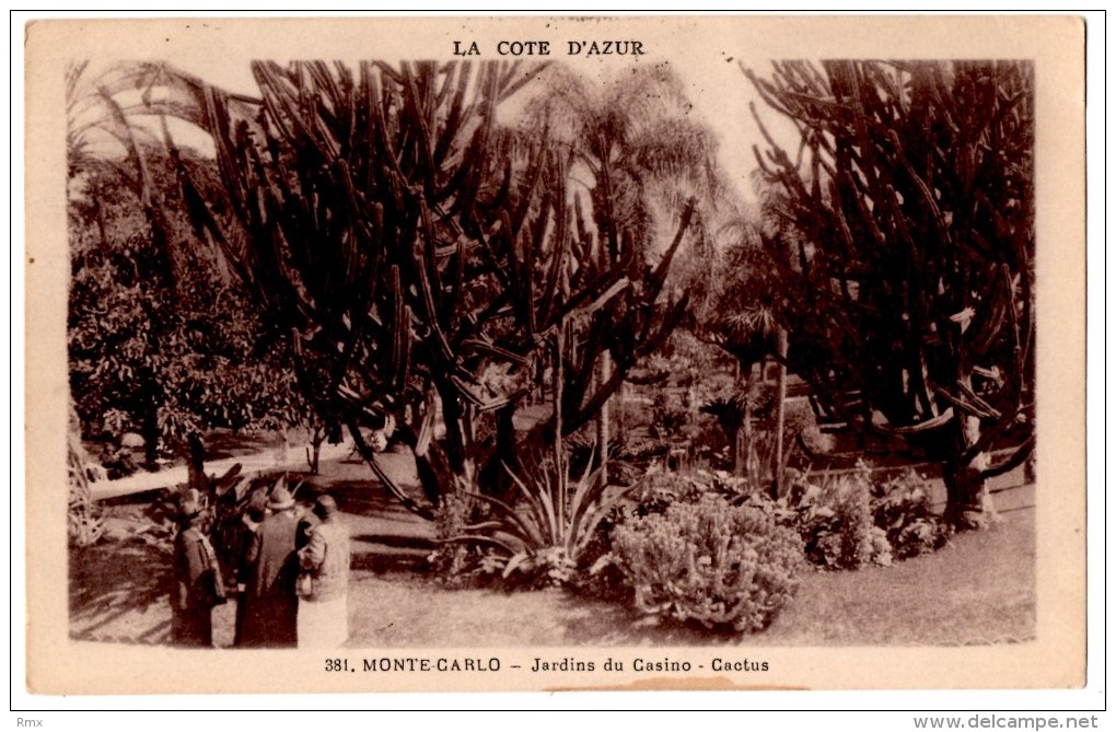 MONACO  MONTE CARLO Le Jardin Du Casino  Cactus   Belle Carte écrite Timbrée  Animation - Jardin Exotique