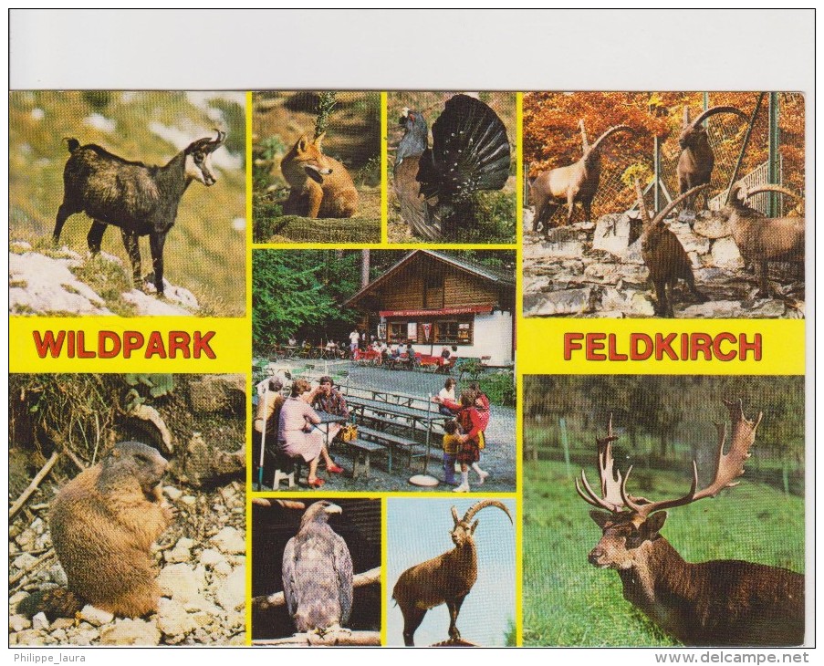 Wildpark Feldkirch. Vorarlberg - Otros & Sin Clasificación