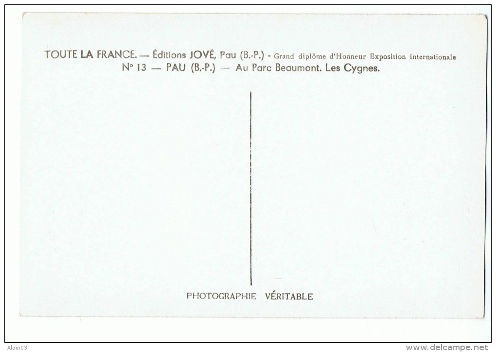 CPSM - 64 - PAU - Au Parc Beaumont - Les Cygnes - Jové 13 - Pau