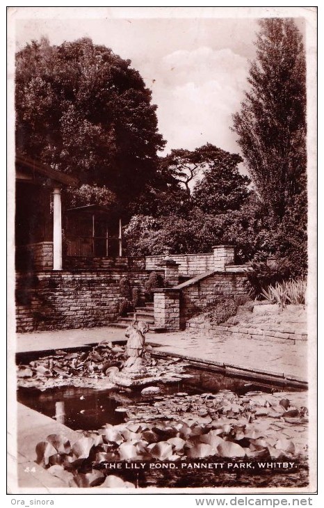 *Cartolina Formato Piccolo Whitby Pannett Park The Lily Pond Viaggiata 1947-Yorkshire - Whitby