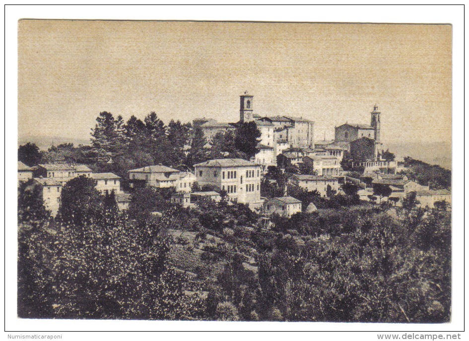 Castelbellino Panorama  NON VIAGGIATA  CODICE C.1844 - Altri & Non Classificati