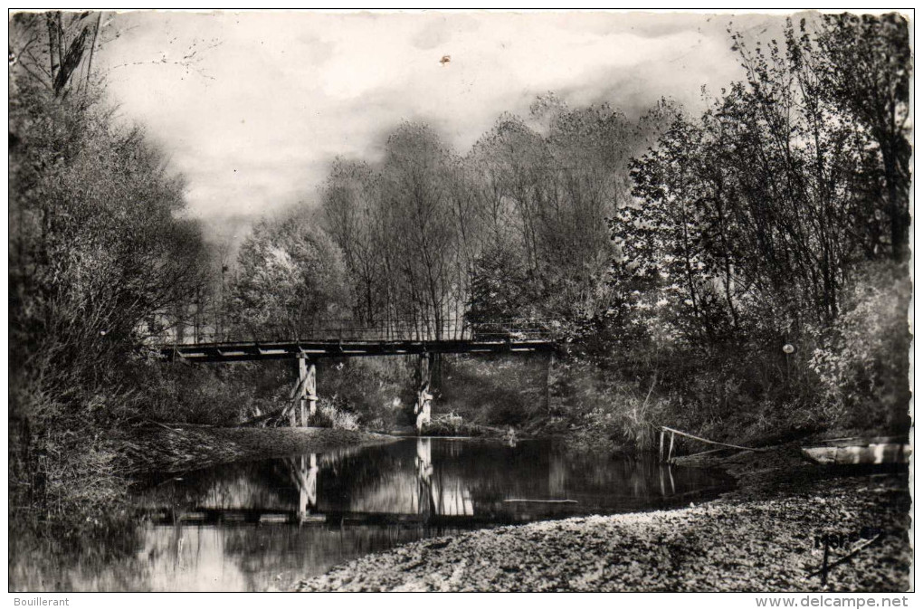 SEIGNELEY - LES BORDS DU SEREIN - Seignelay