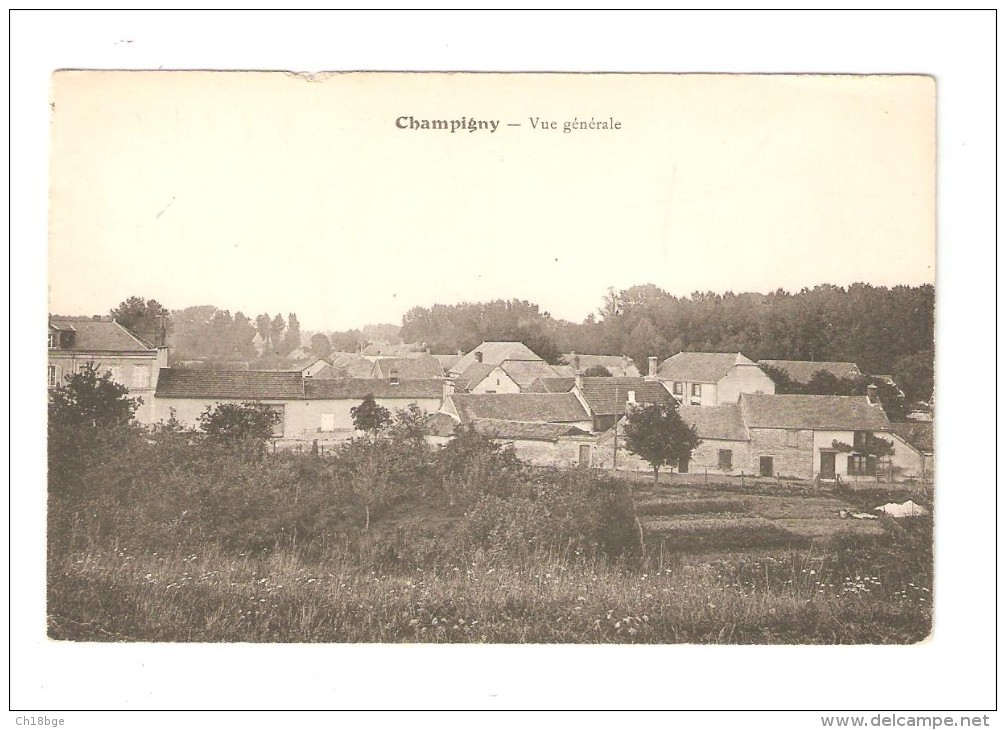 CPA : 51 - Champigny Sur Marne : Vue Générale : Champs - Maisons - Bois Au Fond  -  Vue Peu Commune - Champigny