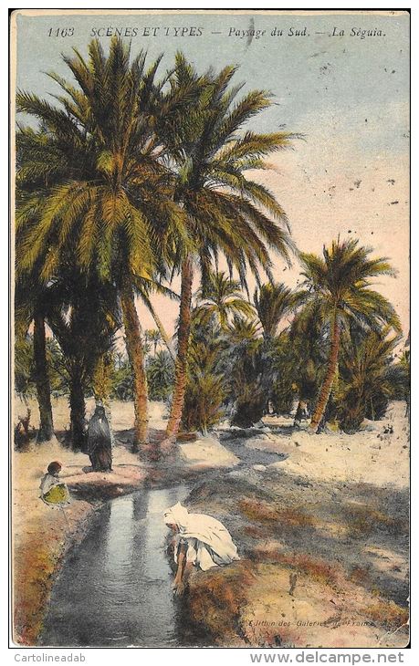 [DC5577] CARTOLINA - ALGERIA - SCENES ET TYPES - PAYSAGE DU SUD - LA SEGUIA - Viaggiata 1921 - Old Postcard - Altri & Non Classificati