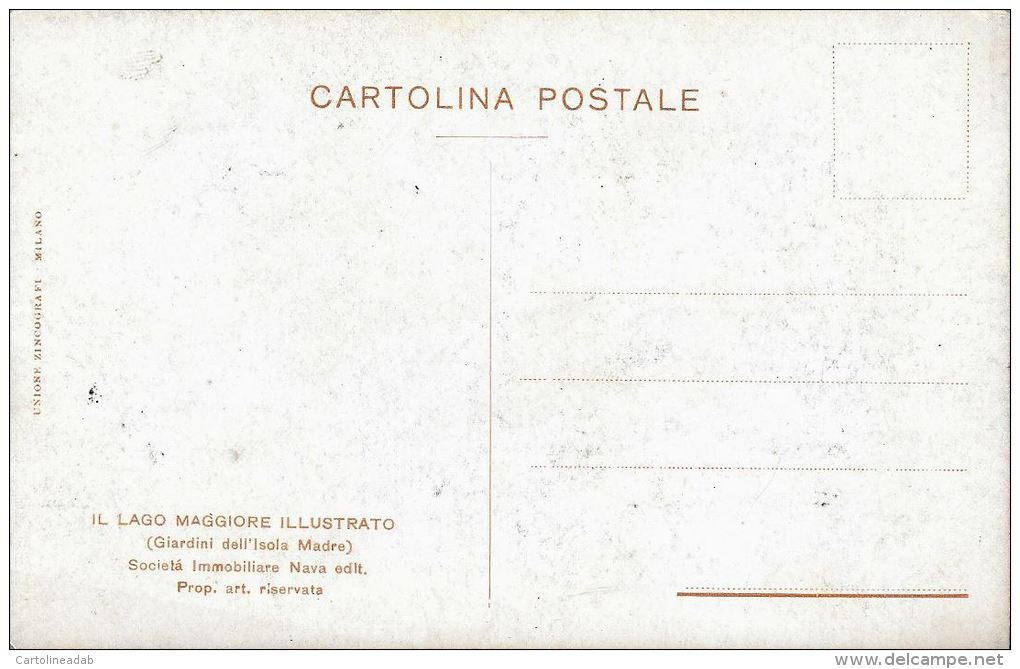 [DC5581] CARTOLINA - IL LAGO MAGGIORE ILLUSTRATO - GIARDINI ISOLA MADRE -  Old Postcard - Verbania