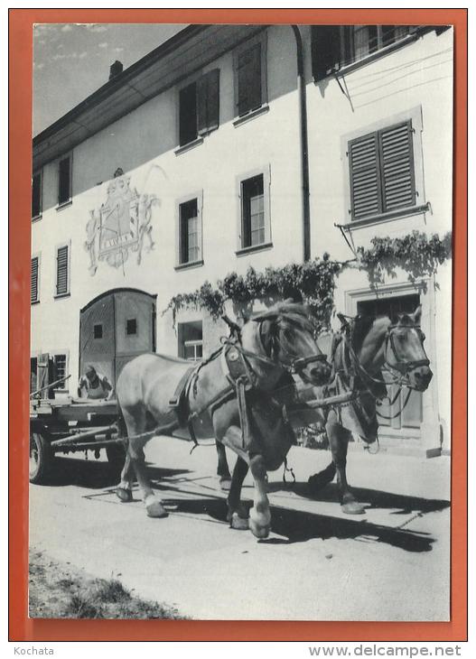 Oct209, Neunkirch, Klettgau, Bauernhof, Fermechevaux, Pferde, Attelage, GF, Non  Circulée - Neunkirch