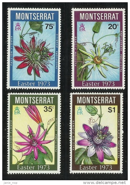 Montserrat 1973 Easter MNH - Montserrat
