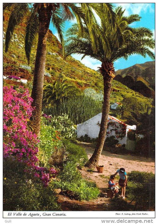 Espagne - Islas Canarias ÎLES CANARIES  - Lot De 2 Cpm Voir Scan R/V  Des 2 Cartes- *PRIX FIXE - Autres & Non Classés