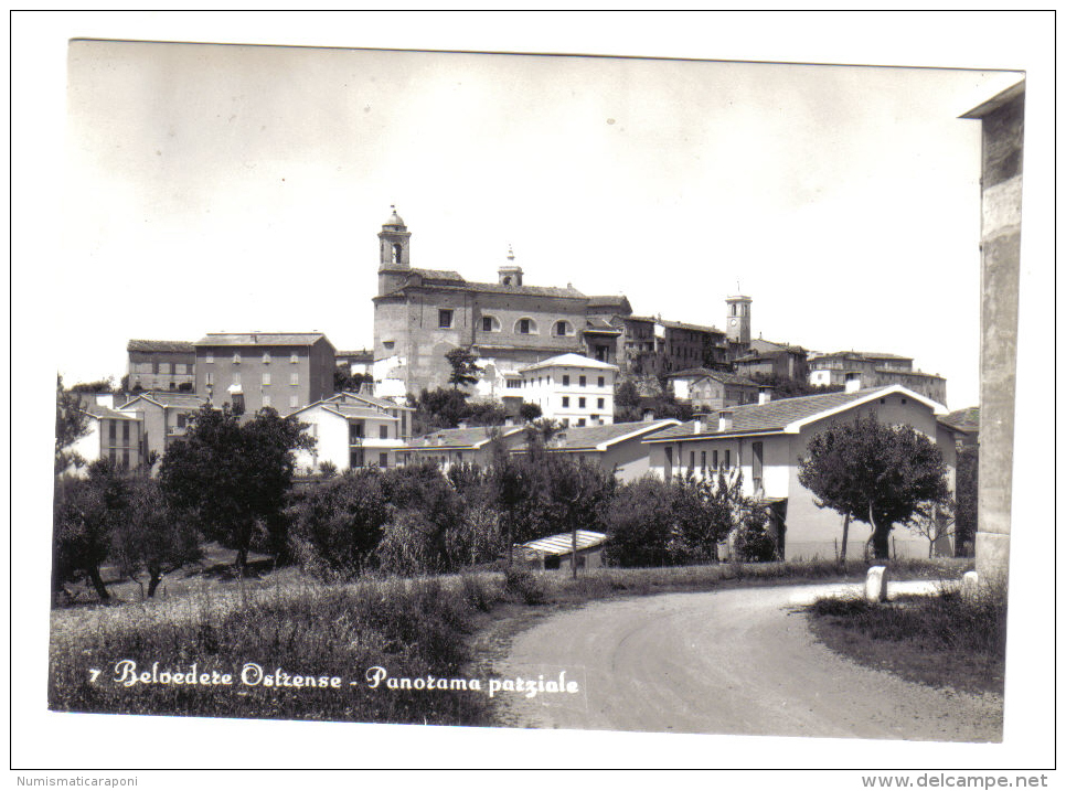 Belvedere Ostrense Panorama Parziale NON VIAGGIATA C.1864 - Altri & Non Classificati