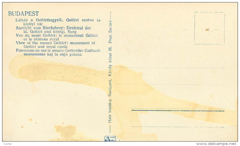 BUDAPEST - View Of The Mount Gellert : Monument Of Gellert And Royal Castle - Hongrie