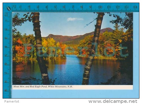 White Mountain USA( Moat Mtn. And Red Eagle Pond ) Post Card Carte Postale Recto/verso - White Mountains