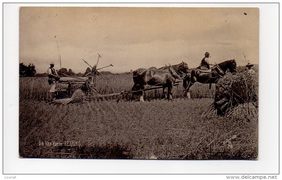 On The Farm REAPING (attelage-ferme Agriculture) - Attelages