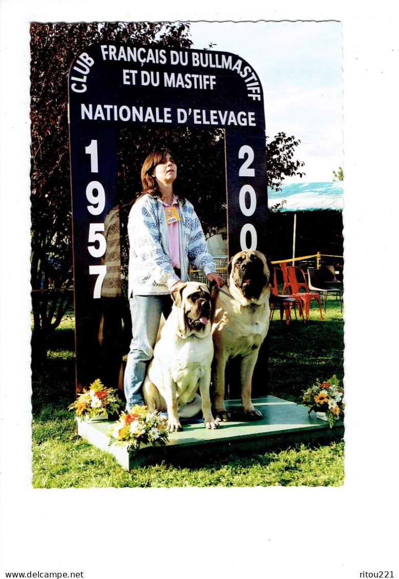 21 - MONTAGNY LES BEAUNE Côte D'Or 2000 CLUB FRANÇAIS Bullmastiff Mastiff ELEVAGE CHIENS Femme éleveuse Pedigree Pub - Autres & Non Classés