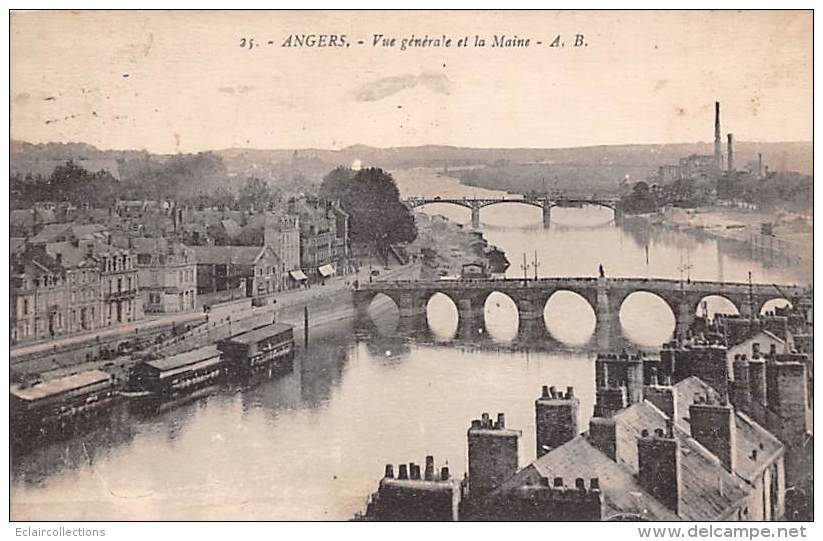 Angers   49     Vue Sur La Maine  Bateaux-Lavoirs - Angers