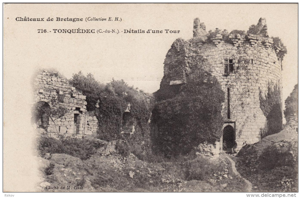 716 - Tonquédec - Détails D´une Tour - Châteaux De Bretagne - Hamonic - Autres & Non Classés